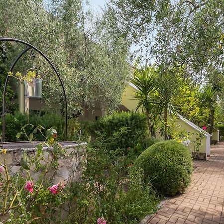 Residence Villa Le Macine Vieste Ngoại thất bức ảnh